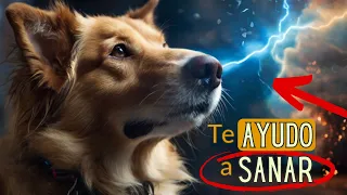 🐾 ¿Los PERROS ABSORBEN las ENFERMEDADES de sus DUEÑOS? DESCÚBRELO AQUÍ 🤔