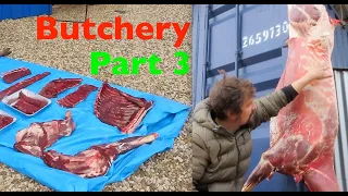 Breaking Down a Deer - Butchery (Part 3 of 3)