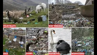 Britain's worst Grot Pots revealed as Mail launches campaign to show how YOU can clean up the UK