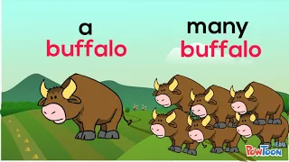 Buffalo buffalo Buffalo...One Word Sentences & Homonyms