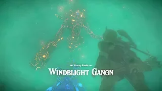 Zelda: BOTW (WindBlight Ganon Rematch In The Illusory Realm) DLC Pack 2