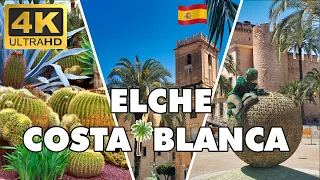 Elche Spain – World Capital of Palm Trees ► 🌞 Costa Blanca ►