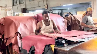 Making Process of Pure Leather from Animal hides in a tannery | How to make leather | Hide tanning