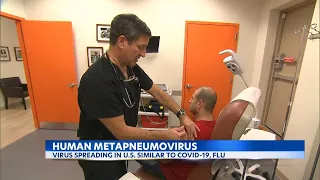 Human metapneumovirus spreads around the U.S.