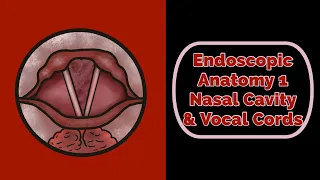 Endoscopic Anatomy of the Nasal Cavity & Vocal Cords