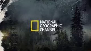 Port Protection | National Geographic