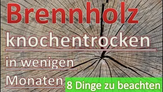 Brennholz – knochentrocken in wenigen Monaten – 8 Dinge zu beachten.