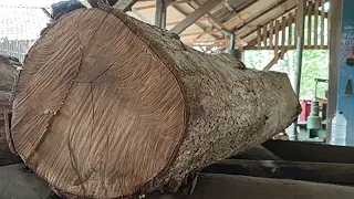 sawing super acacia wood to make furniture cupboard materials