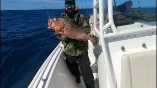 Best way to catch Mangrove Snapper and Red Grouper