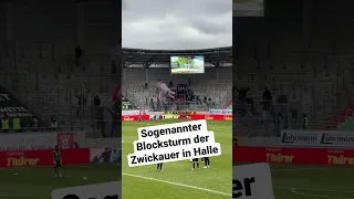 Blocksturm der Zwickauer Hallescher FC - FSV Zwickau