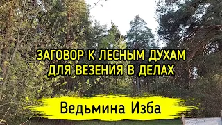 К ЛЕСНЫМ ДУХАМ. ДЛЯ ВЕЗЕНИЯ В ДЕЛАХ. ДЛЯ ВСЕХ. ВЕДЬМИНА ИЗБА ▶️ ИНГА ХОСРОЕВА