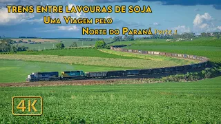 Trens entre lavouras de soja: Uma Viagem pelo Norte do Paraná Parte 1