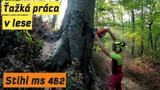 Ťažba dreva a rúbanie bukov, Zetor Proxima,Chainsaw Stih MS 462,Amles, Forestwork,Logging,DANGEROUS