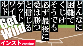 【インスト】どんなに困難でくじけそうでも必ず最後に愛は勝つと信じるGet Wild