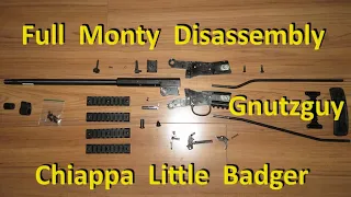 Chiappa Little Badger. Review. Full Monty disassembly for cleaning. Survival rifle 22lr.