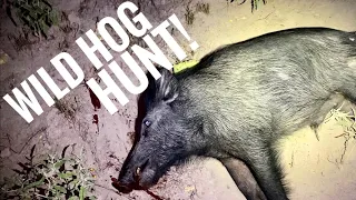 Wild Boar Hunting! South Texas Adventure