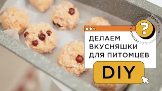 DIY Вкусняшки для собак и кошек / Лакомство для питомцев своими руками