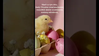 Католическое поздравление с Пасхой 2023 #пасха #wesolychswiat #easter