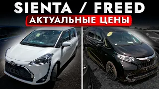 TOYOTA SIENTA или HONDA FREED!? ПОДБОР БЮДЖЕТНОГО МИНИВЭНА. Что с Ценами? Авторынок Зеленый угол