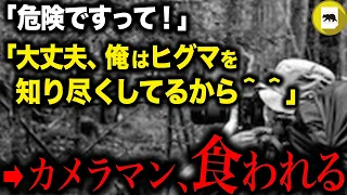 現地ガイドの猛反対を押し切り、ヒグマの近くで撮影を試みたカメラマン→絶叫の元へ向かうと、そこには熊と…「どうぶつ奇想天外 写真家襲撃事件」