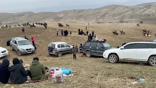 Бузкаши Д.Рангон  Улок 🐎