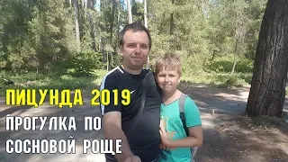 ПИЦУНДА 2019 | РОЩА ПИЦУНДСКОЙ СОСНЫ | ЗАПОВЕДНЫЙ БЕРЕГ АБХАЗИИ