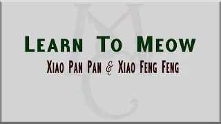 Learn To Meow by Xiao Pan Pan & Xiao Feng Feng [Lyrics & English Translation]