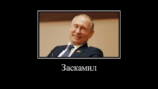 Путин и друзья Зеленского