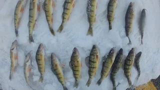 Ice Fishing 2016-03-06