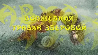 «ВОЛШЕБННАЯ ТРАВКА ЗВЕРОБОЙ», С.Г. Козлов, "ВСЕ СКАЗКИ О ЁЖИКЕ", аудиокнига