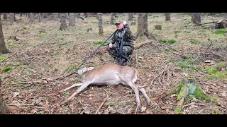 Sudecka Ostoja 51/2020. Polowanie na jelenie z podchodu. Deer Hunting in Poland.