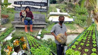 รางวัลปราชญ์เกษตรแห่งแผ่นดิน ครบเครื่องเรื่องอินทรีย์!!ลองผิดลองถูกมา4ปี..จนประสบความสำเร็จ