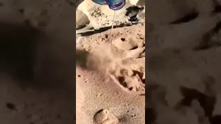 AMAZING reaction of WATER and hot DESERT sand