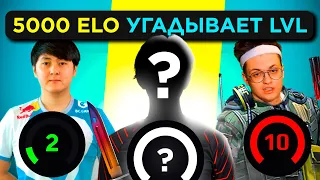 5000 ELO УГАДЫВАЕТ ЛВЛ FACEIT ft. ICY (AVANGAR)