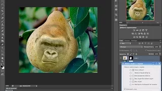 как скрестить грушу с обезьяной вставлять лица в любой предмет фотошоп cs6
