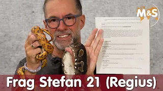 Frag Stefan #21 | Auslaufstall im Sommer für Schlangen