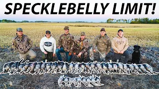 FIRST ALL SPECKLEBELLY LIMIT with the LOCALS in ALBERTA CANADA!!