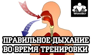 Proper breathing during exercise  | Anton Kuchumov | SOTKA - Day 15