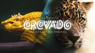 Corcovado National Park, connecting humans with nature | Osa Wild