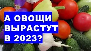 Чи виростуть овочі у 2023 році?