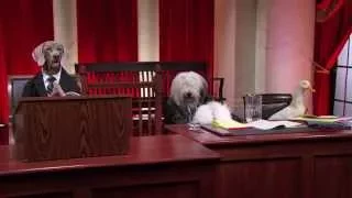 Supreme Court (With Dogs) - #puppyjustice #realanimalsfakepaws - Last Week Tonight With John Oliver