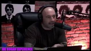 Vsauce Michael and Joe Rogan reflect after ingesting 17 tabs of LSD