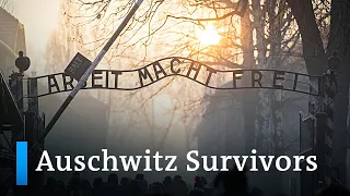 Auschwitz liberation: Survivors look back | DW News