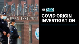 It might take defector to reveal COVID-19's origin, former investigator says | 7.30