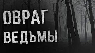 Страшные истории. ВЕДЬМИН ОВРАГ. Страшные истории на ночь. Мистика. Ужасы