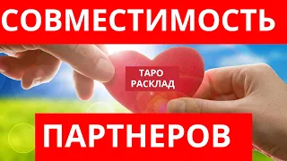 ЛЮБОВНАЯ СОВМЕСТИМОСТЬ ПАРТНЕРОВ ТАРО РАСКЛАД