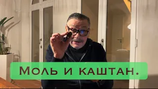 Моль и каштан.