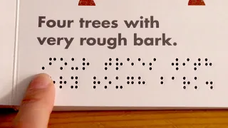 My Technique for Sight-Reading Braille