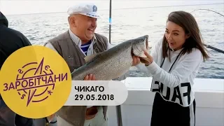 Заробітчани - Чикаго - Выпуск 15 - 29.05.2018