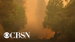 How climate change plays a key role in weather extremes and wildfires